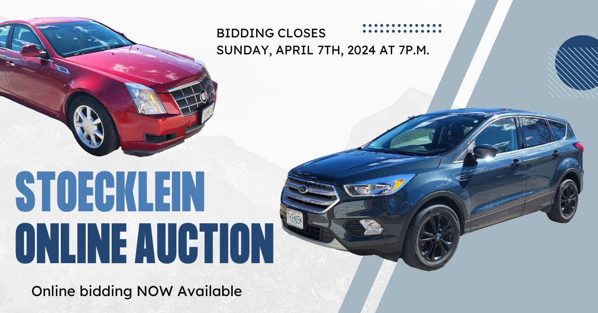 Martin Auction Company